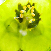 ddos攻击在哪能买到